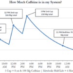 How long does caffeine stay in your system?