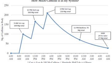 How long does caffeine stay in your system?