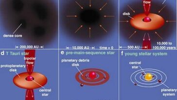 How long does it take for Starbucks stars to show up?