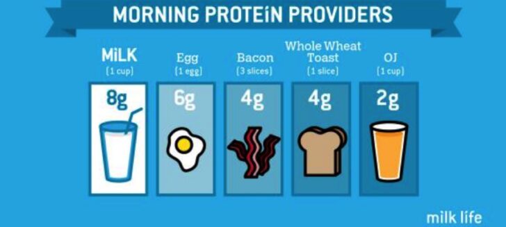 how-many-calories-is-2-cups-of-2-milk