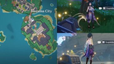 How many chest are there in Inazuma?