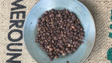 How many coffee beans are in a 12 oz bag?