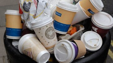 How many paper coffee cups are thrown away?