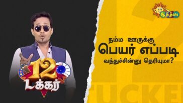 How many people does a box of Panera coffee serve?