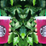 How much caffeine is in the dragon drink?