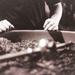 How much can a coffee roasting business make?