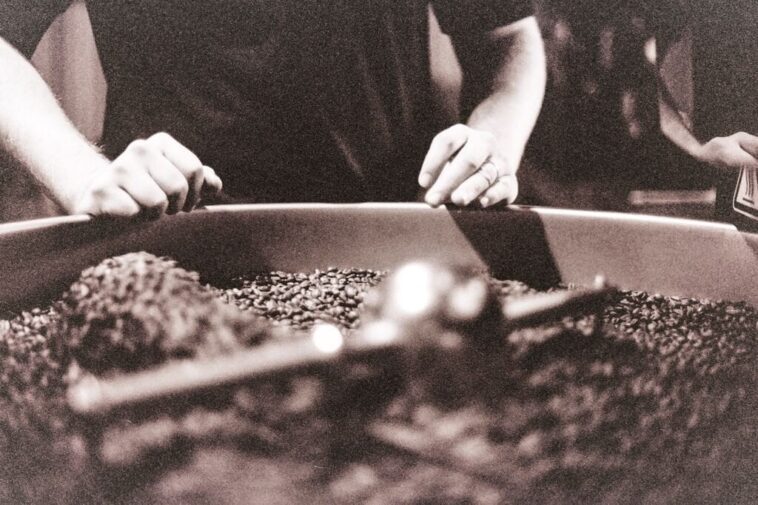 How much can a coffee roasting business make?