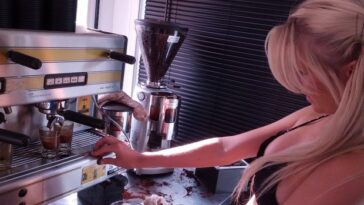 How much can you make as a bikini barista?