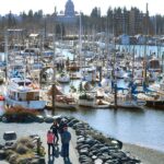 How much do bikini baristas make in Washington State 2021?