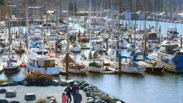 How much do bikini baristas make in Washington State 2021?