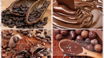 How much does it cost to build a human bean?