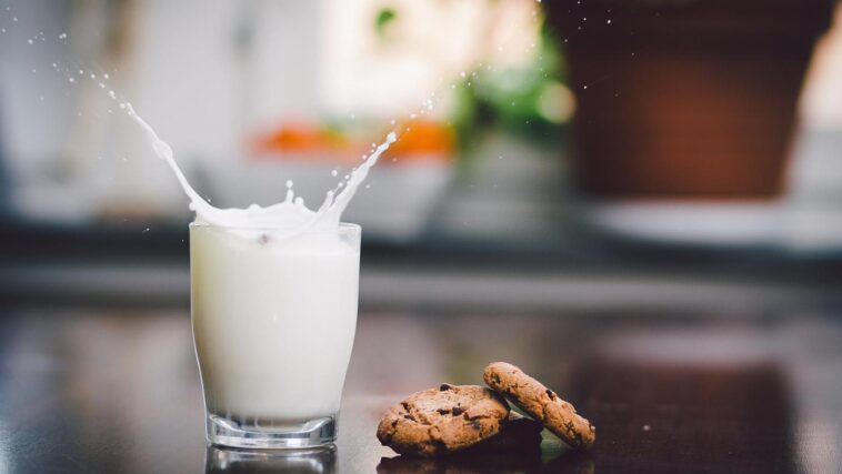 How much milk is in a latte?