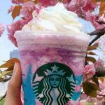 How much sugar is in a large Starbucks Frappuccino?