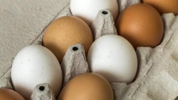 How much was a dozen eggs in 1950?