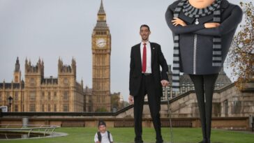 How tall is the traveler?