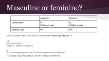 Is Amie masculine or feminine in French?
