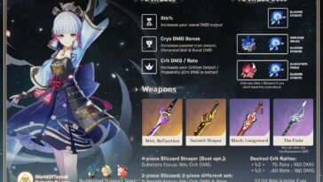 Is Ayato a main DPS?