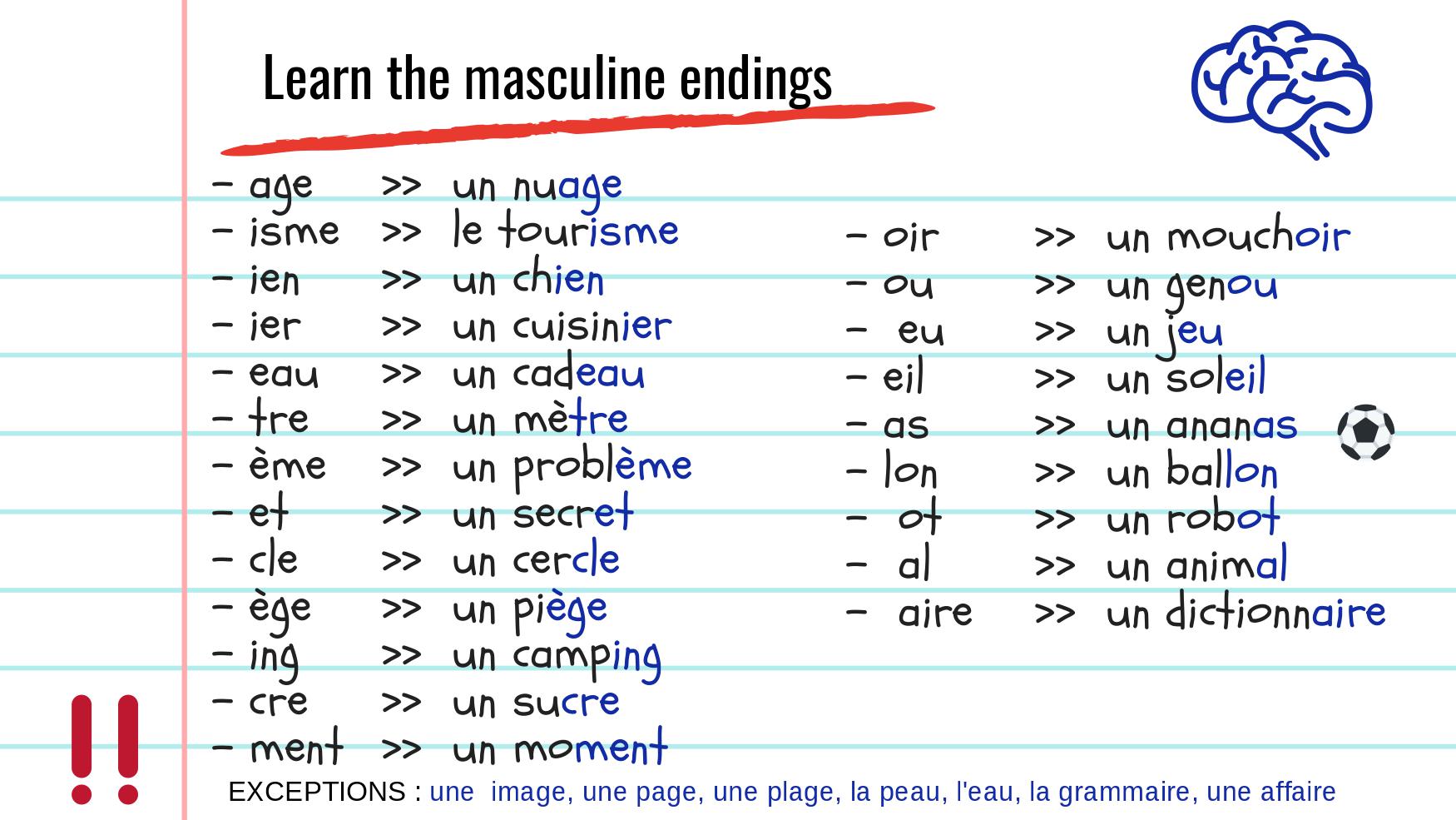 Masculine Feminine Nouns In French Video Lesson Transcript, 60 OFF