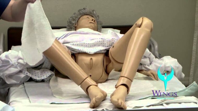 Is Boreas male or female?