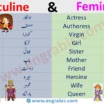 Is Fier masculine or feminine?