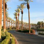 Is Palm Desert the same as Palm Springs?