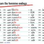 Is Petit a French word?