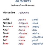 Is Petit feminine in French?