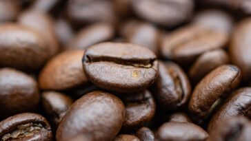 Is Robusta or Arabica better?