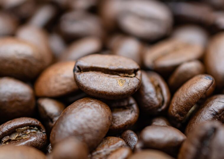 Is Robusta or Arabica better?