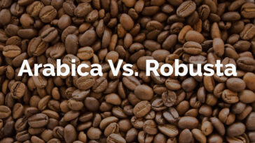 Is Starbucks Coffee Robusta or Arabica?