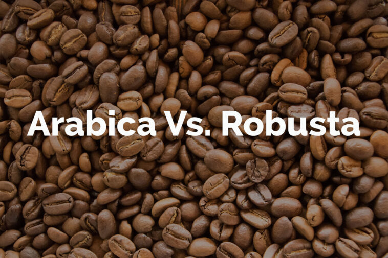 Is Starbucks Coffee Robusta or Arabica?