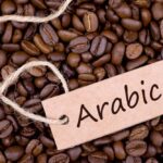Is Starbucks coffee arabica or robusta?