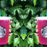 Is Starbucks dragonfruit caffeine?
