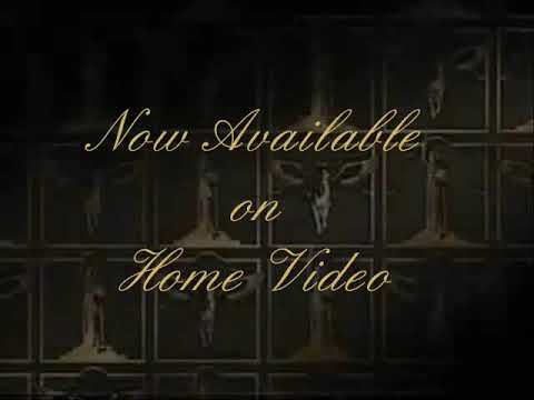 Is Venti's vision fake?