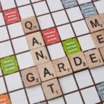 Is Xi a scrabble word?