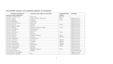 Is Xiao a common name?