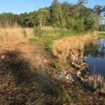 Is Zhongli suffering from erosion?