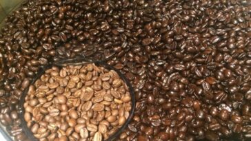 Is blonde roast coffee the strongest?
