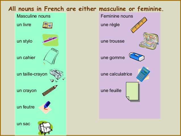 Is cahier masculine or feminine? - Foodly