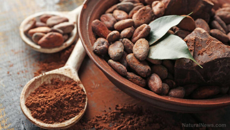 Is cocoa powder OK for diabetics?