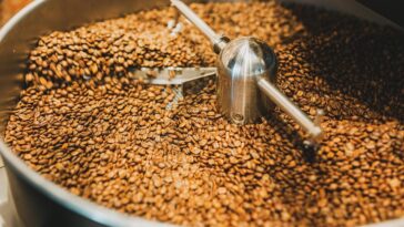 Is coffee roasting profitable?