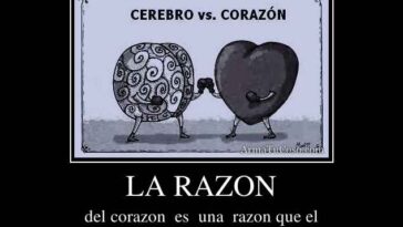 Is it El Razon or La Razon?
