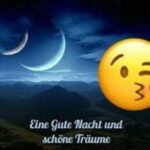 Is it Guten Nacht or Gute Nacht?