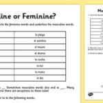 Is ordenador masculine or feminine?