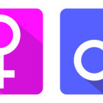 Is pink masculine or feminine?