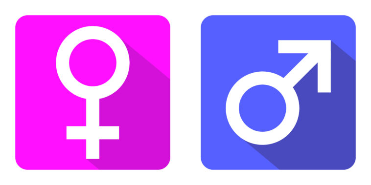 Is pink masculine or feminine?