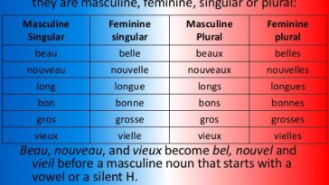 Is robe masculine or feminine?