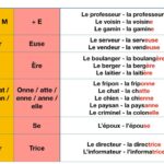 Is small in French masculine or feminine?