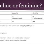 Is the word Rosa masculine or feminine?