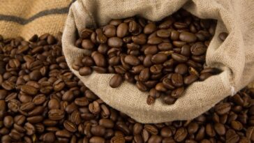Is there any coffee grown in the United States?